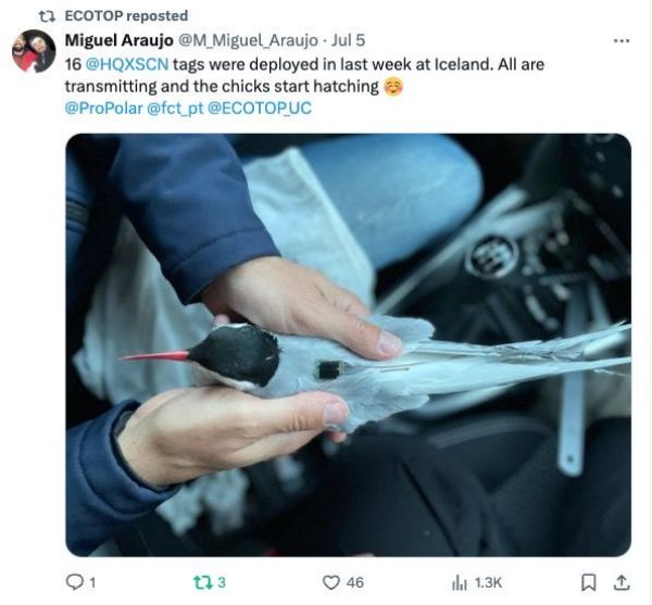 盛煌娱乐,湖南野生动物追踪,湖南卫星追踪器,湖南追踪器