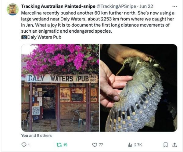 盛煌娱乐,湖南野生动物追踪,湖南卫星追踪器,湖南追踪器