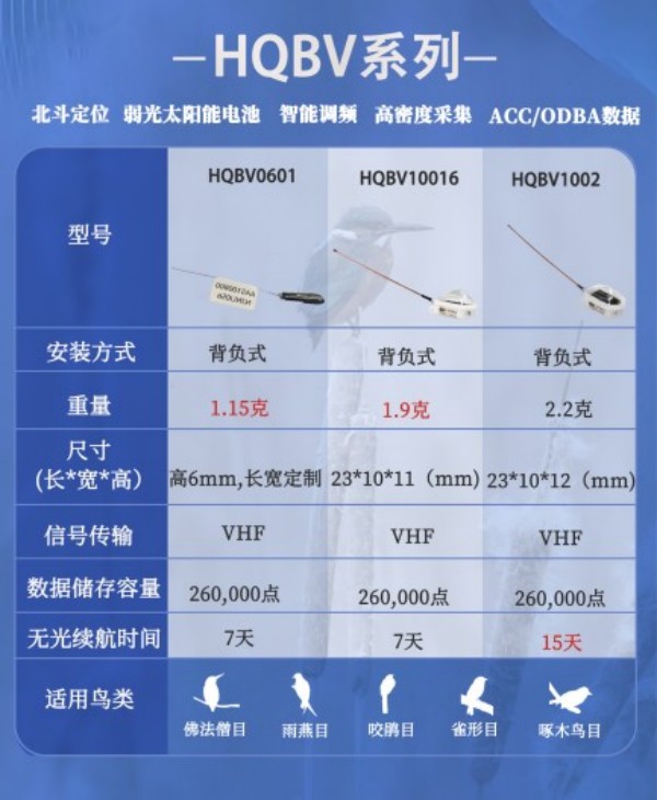 盛煌娱乐,湖南野生动物追踪,湖南卫星追踪器,湖南追踪器