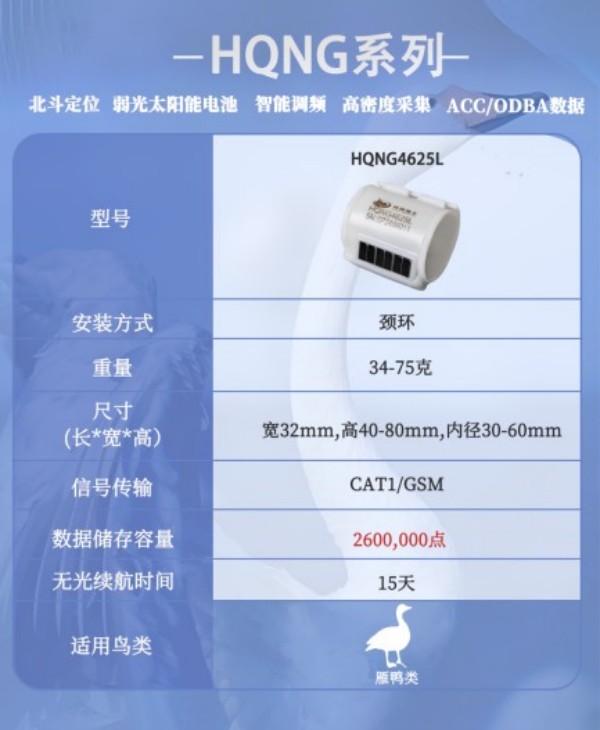 盛煌娱乐,湖南野生动物追踪,湖南卫星追踪器,湖南追踪器