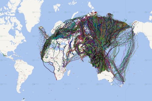 盛煌娱乐,湖南野生动物追踪,湖南卫星追踪器,湖南追踪器