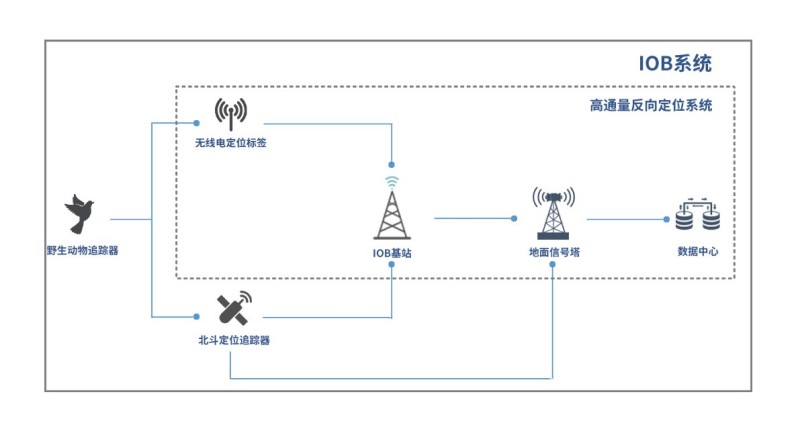 盛煌娱乐,湖南野生动物追踪,湖南卫星追踪器,湖南追踪器